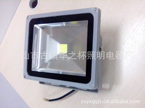 中山市古鎮華之杯照明電器廠 照亮品質生活，領跑燈都智造